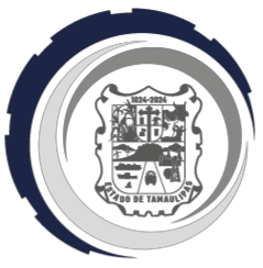 Experiencia profesional